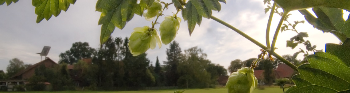 MarionBersUbbendorf1