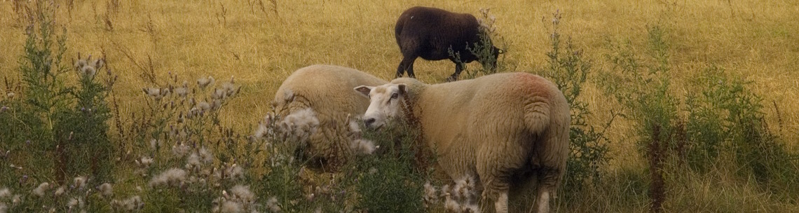 MarionBersUbbendorf3_2