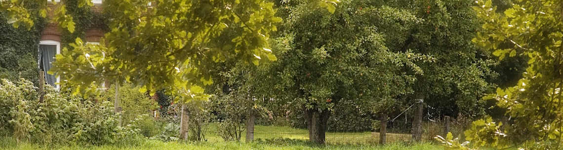 MarionBersUbbendorf4