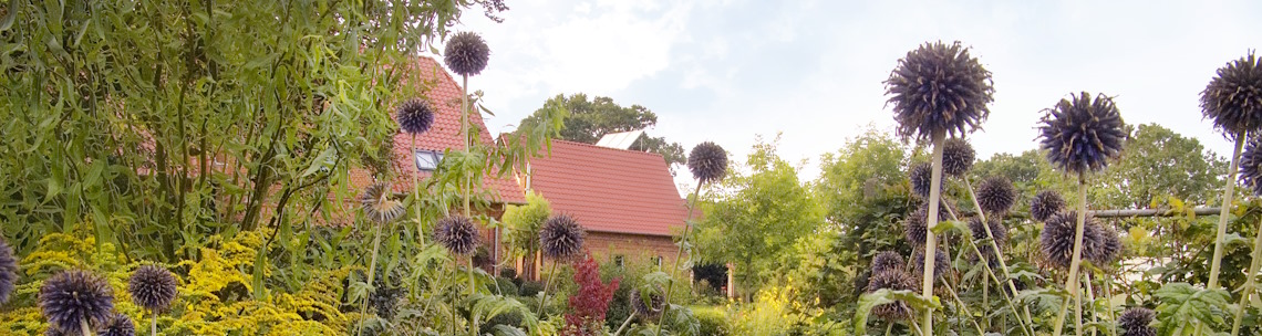 MarionBersUbbendorf5